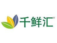 中國日報_17sucai